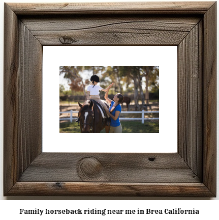 family horseback riding near me in Brea, California